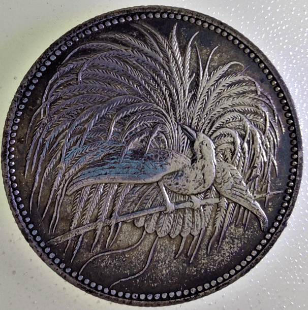 1 mark neu guinea 1894